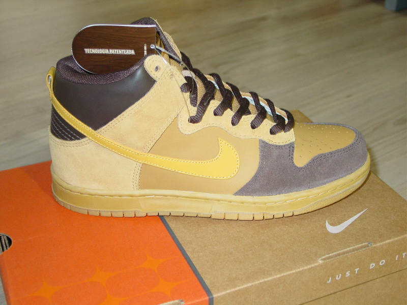 Nike Dunk Hi