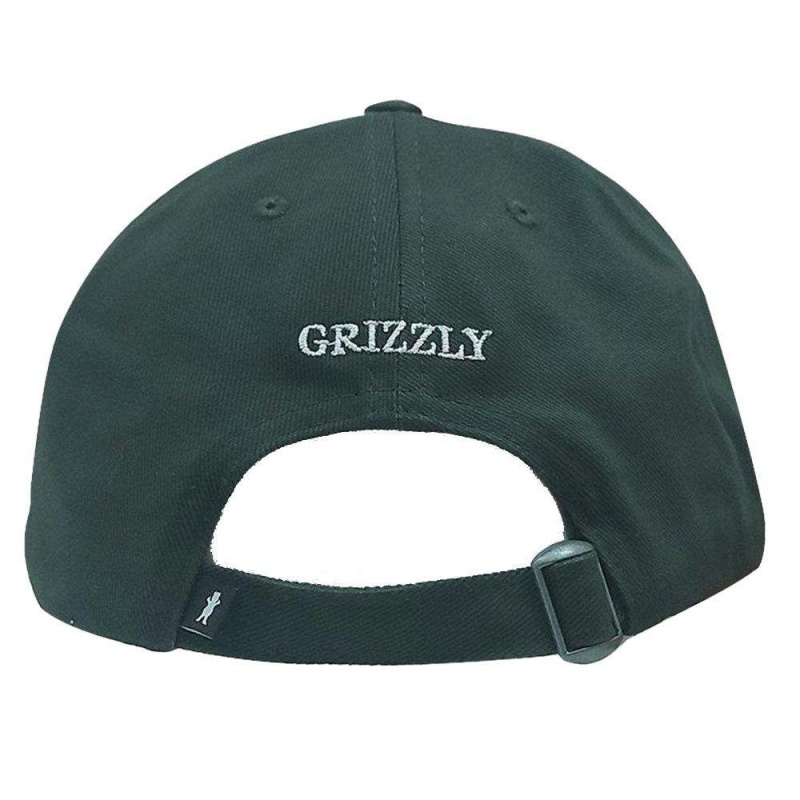 Bon Grizzly Og Bear Dad Hat Verde
