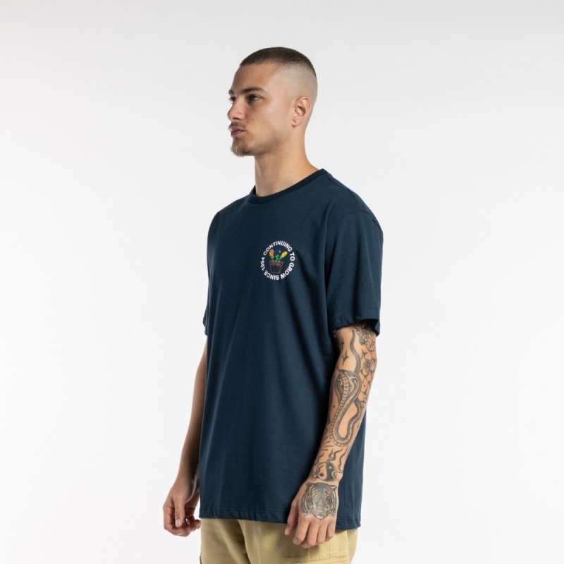 Camiseta Dc Shoes Growing Pains Azul