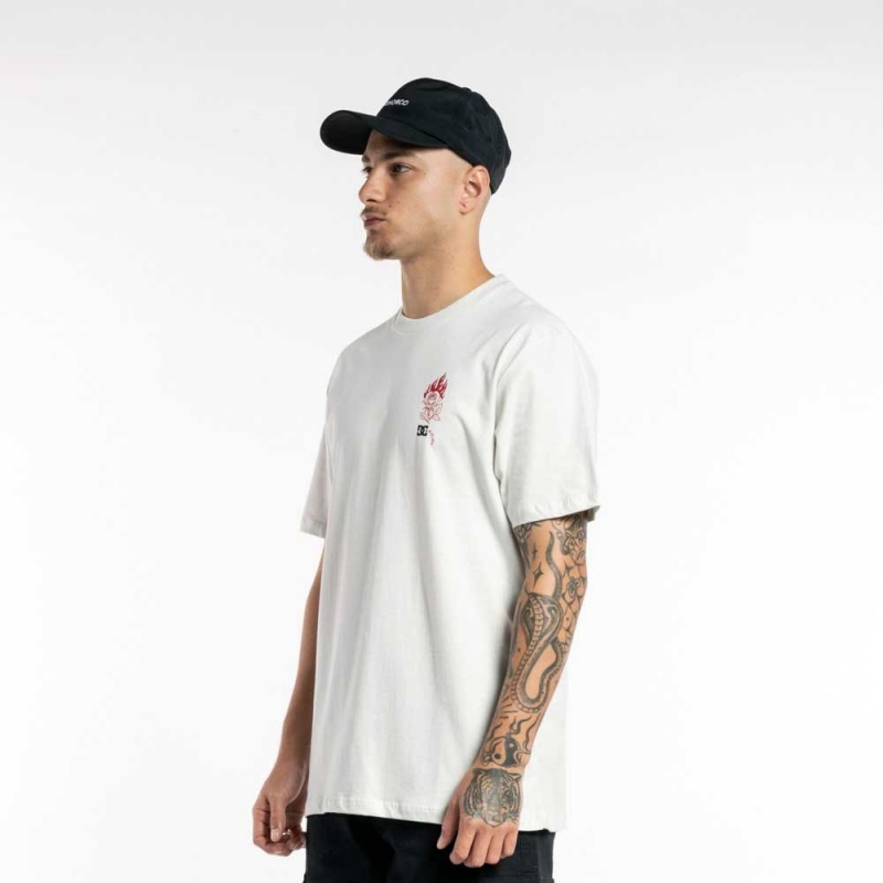 Camiseta Dc Shoes Triple Aye Branco