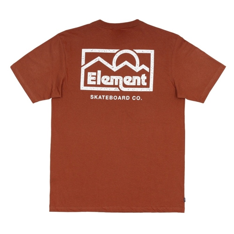 Camiseta Element Sunup Marrom