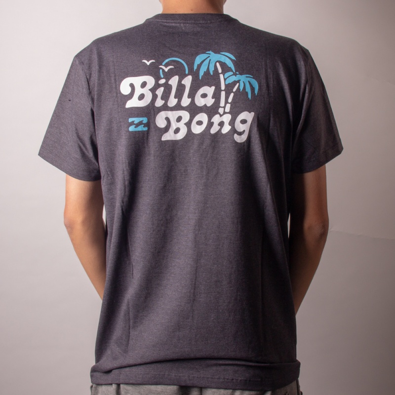 Camiseta Billabong Tanznia Cinza Escuro