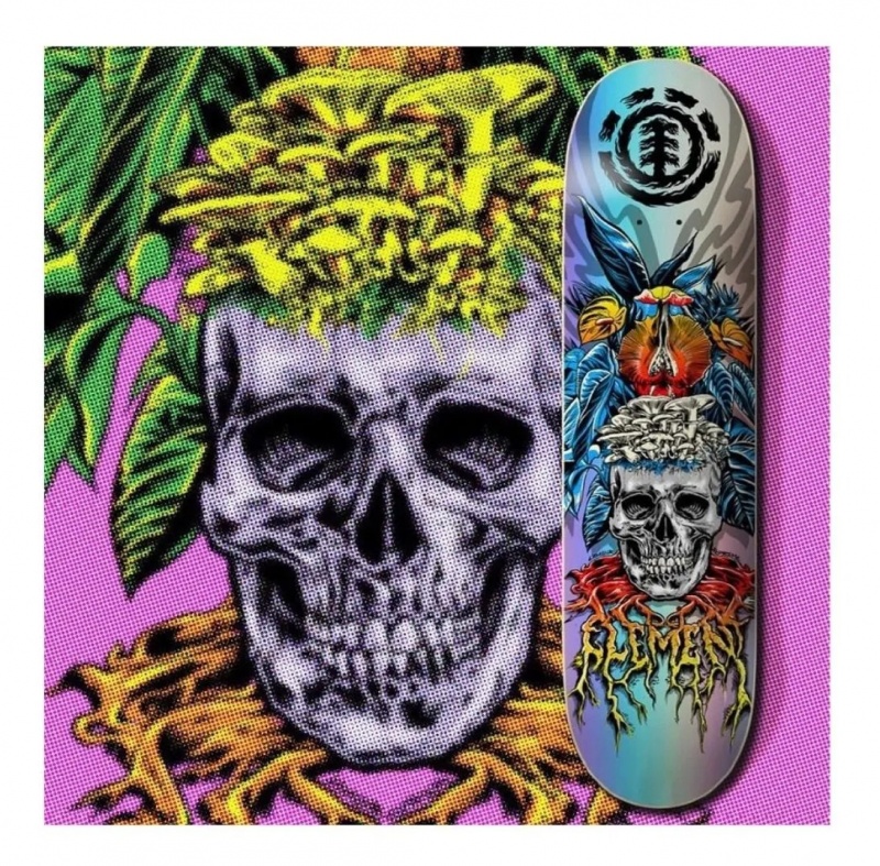 Shape Element 8.180 Lamour Skull Multicolorido