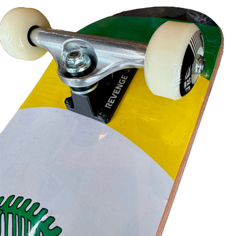 Skate Montado Explicit Camaleao Amador