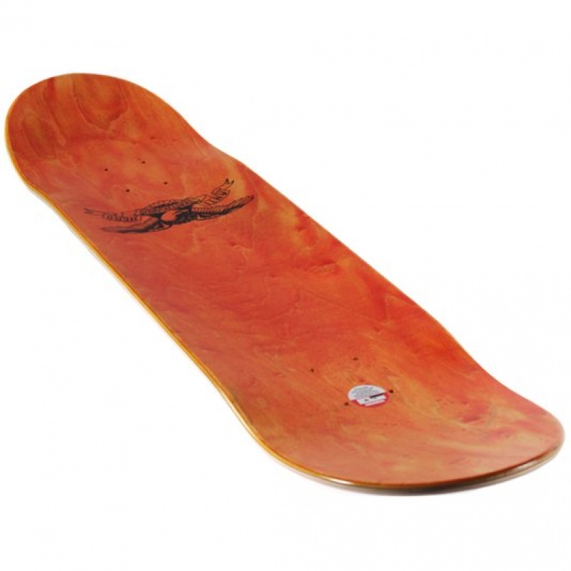 Shape Anti Hero 8.5 Azul Escuro
