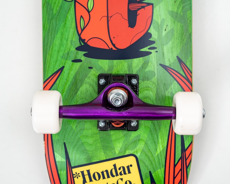 Skate Montado Hondar Iniciante Srie Jungle Verde