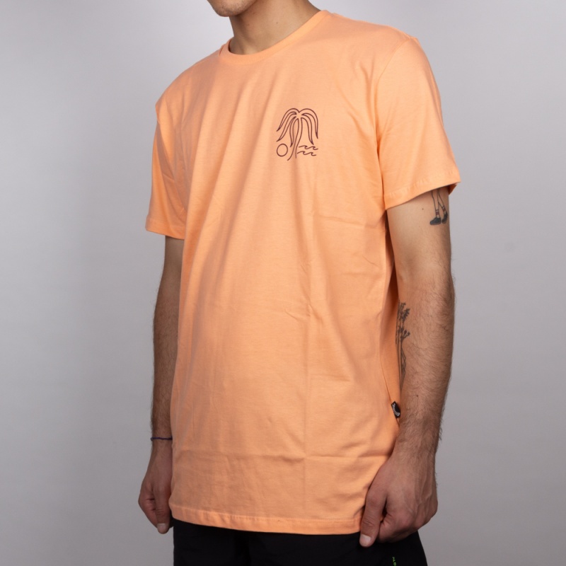 Camiseta Billabong Oasis Rosa