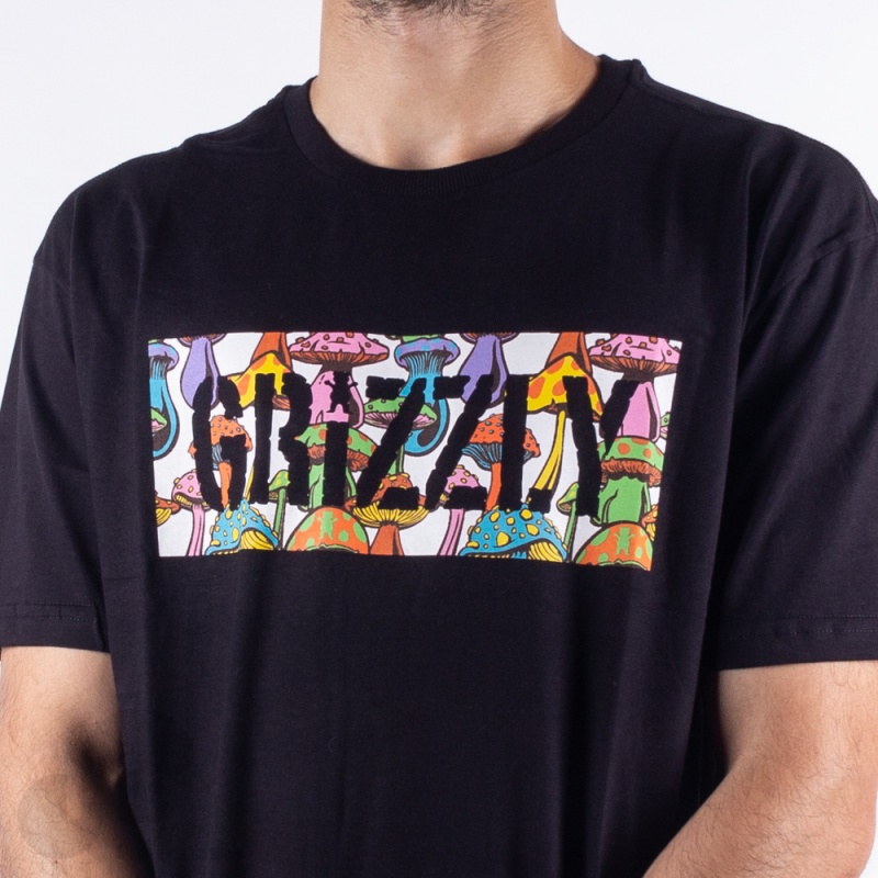 Camiseta Grizzly Fungi Box Preta