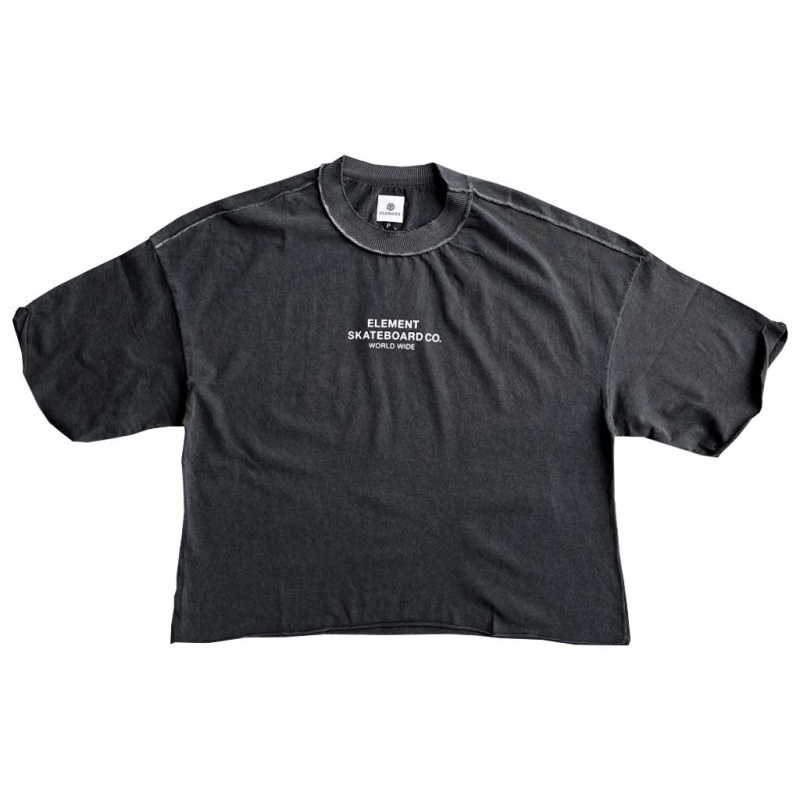Blusa Element Cropped Skateboard Cinza