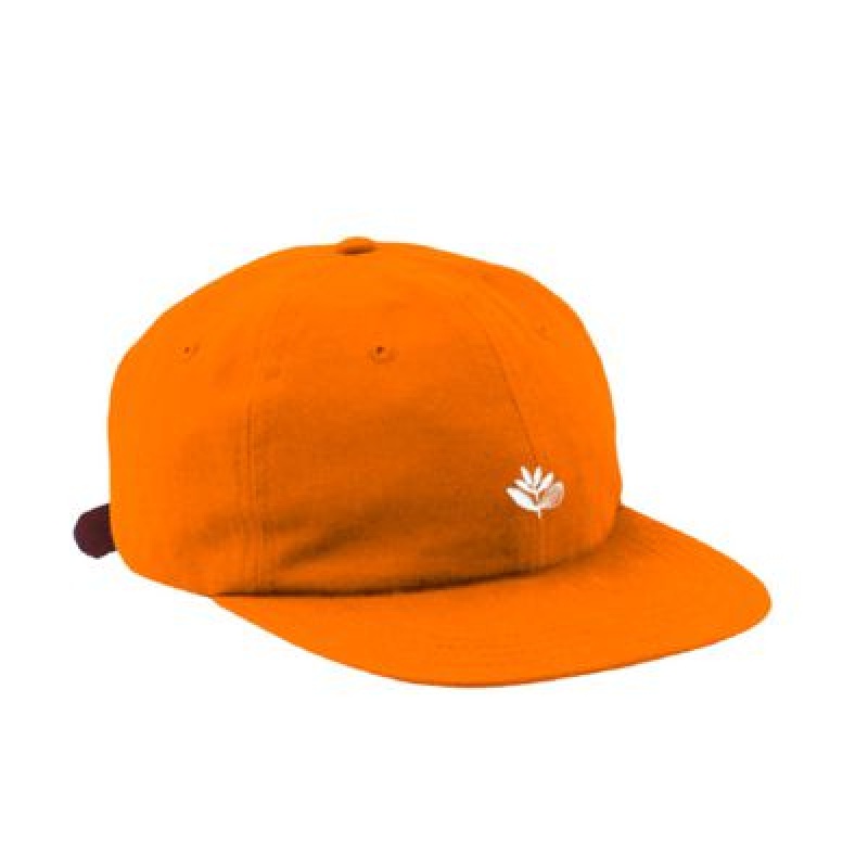 Bon Magenta 6 Panel Plant Laranja