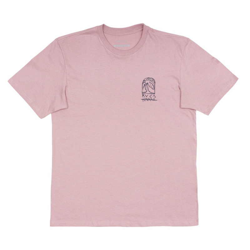 Camiseta RVCA Sketch Palm Rosa