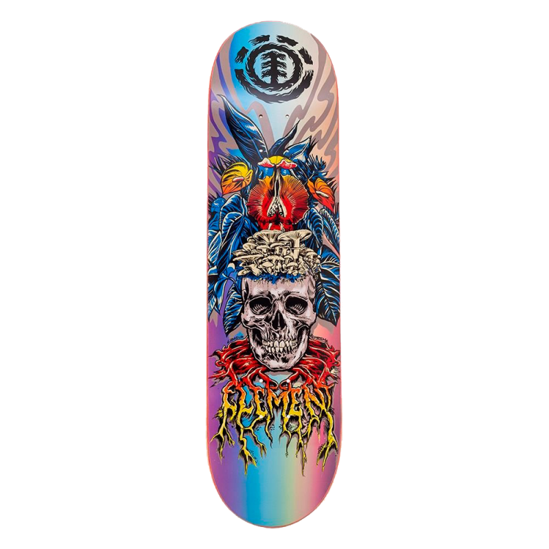 Shape Element 8.180 Lamour Skull Multicolorido