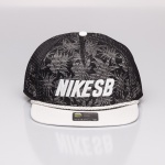 Bon Nike SB Pro S+ Preto