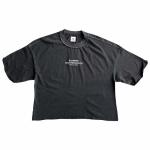 Blusa Element Cropped Skateboard Cinza