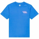 Camiseta Element Curbs Azul