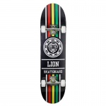 SKATE MONTADO iniciante lion